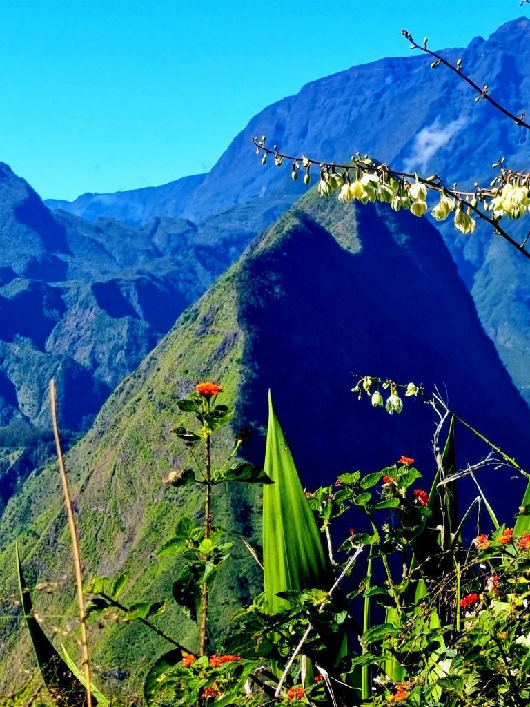 piton-cabris-articleBlog1
